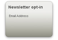 newsletter opt in please enter your e-mail address