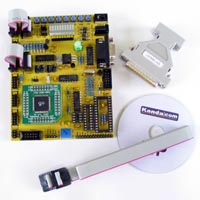 AVR ATmega128 Microcontroller Starter Kit - Parallel Port