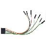 Related product for PRESTO USB ISP Programmer for serial EEPROM, Serial Flash and Microcontrollers