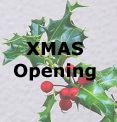 Christmas Opening